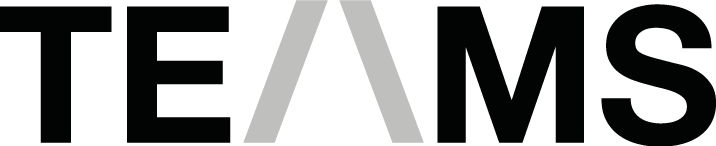 Stratégies Web Marketing pour les artistes musiciens, managers, labels - TEAMS